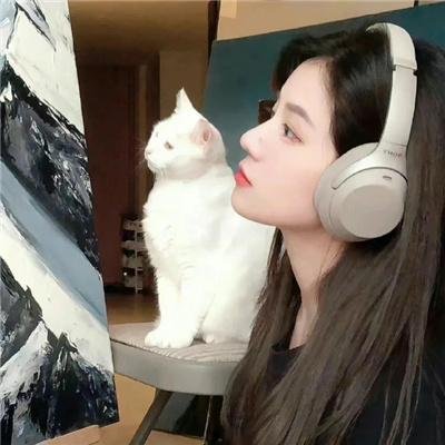 没有同情